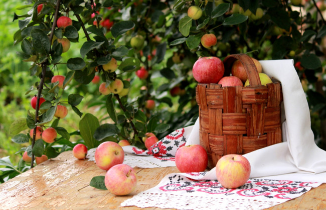 Обои картинки фото еда, Яблоки, лукошко, дерево