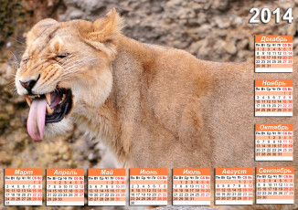 обоя календари, животные, львица, календарь