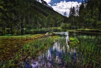 Картинка грюнер+австрия природа реки озера австрия грюнер озеро лес горы