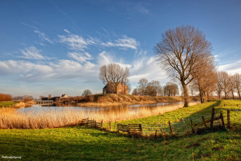Картинка природа реки озера свет река голландия нидерланды деревья