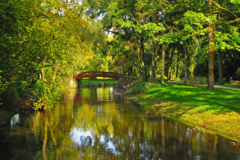 Картинка природа парк деревья река польша sochaczew трава