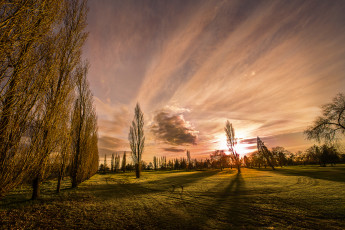Картинка природа восходы закаты тополя небо облака лужайка трава