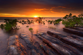 Картинка природа восходы закаты камни вода солнце небо океан море мангровые кусты закат вечер австралия