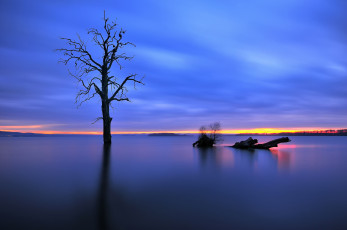 Картинка природа реки озера озеро зима дерево вечер свет закат
