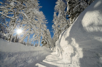 Картинка природа зима деревья солнце снег сугробы