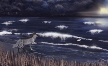 обоя рисованные, животные,  собаки, волны, море, собака, кораблик, ночь