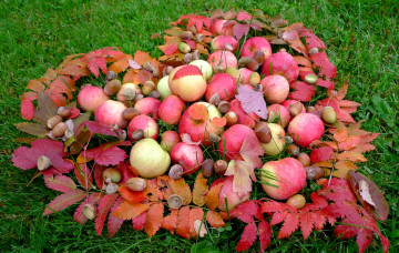 обоя еда, Яблоки, листья, сердце