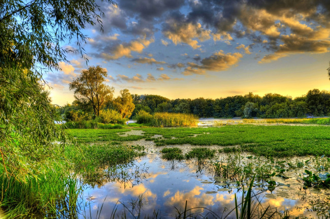 Обои картинки фото природа, реки, озера, растительность, река, лес, покой, лето, облака