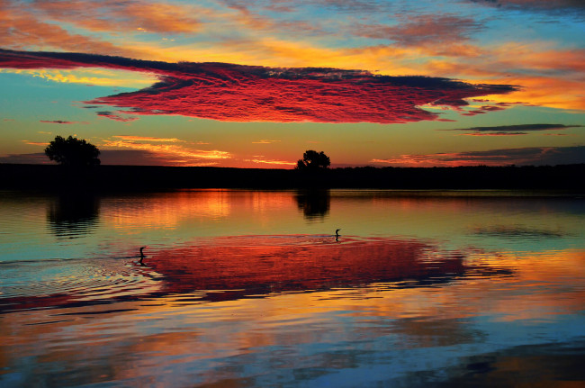 Обои картинки фото природа, восходы, закаты, облака, утро, небо, утки, сша, озеро, колорадо