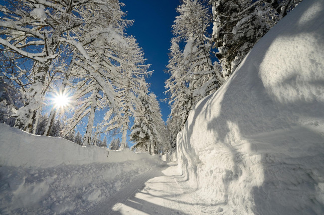 Обои картинки фото природа, зима, деревья, солнце, снег, сугробы
