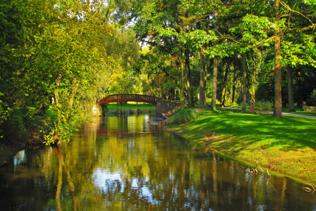 Обои картинки фото природа, парк, деревья, река, польша, sochaczew, трава