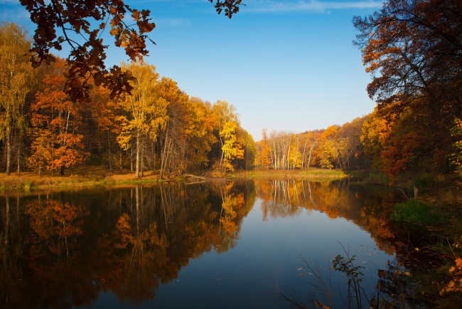 Обои картинки фото природа, реки, озера, деревья, отражения, краски, небо, осень, озеро, пруд