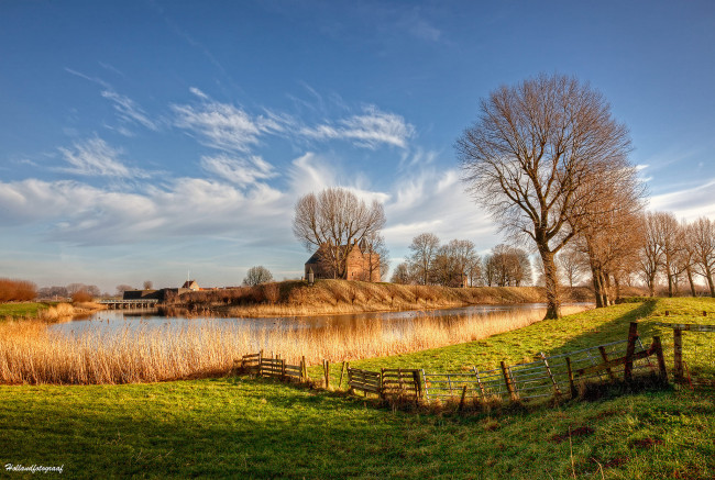 Обои картинки фото природа, реки, озера, свет, река, голландия, нидерланды, деревья