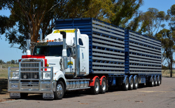 обоя автомобили, western star, тягач, грузовик, тяжелый, седельный