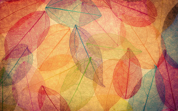 Картинка векторная+графика природа+ nature autumn leaves transparent abstract colorful листья осенние фон