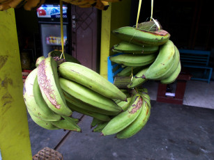 Картинка еда бананы зеленые связки
