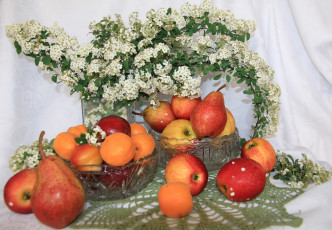 Картинка еда фрукты +ягоды посуда весна яблоки абрикосы цветы спирея сливы натюрморт май корзина клетчатка груши витамины