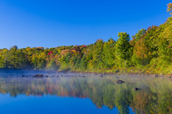 Картинка природа реки озера деревья туман осень камни озеро