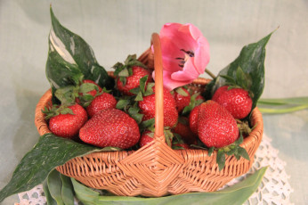 Картинка еда клубника +земляника корзина натюрморт цветок тюльпан