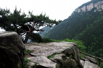 Картинка природа горы дерево скала