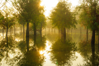 Картинка природа реки озера утро