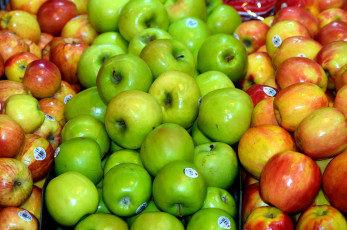 Картинка еда Яблоки яблоки много урожай ассорти