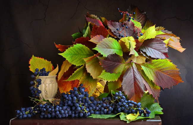 Обои картинки фото еда, виноград, ягоды, листья, грозди