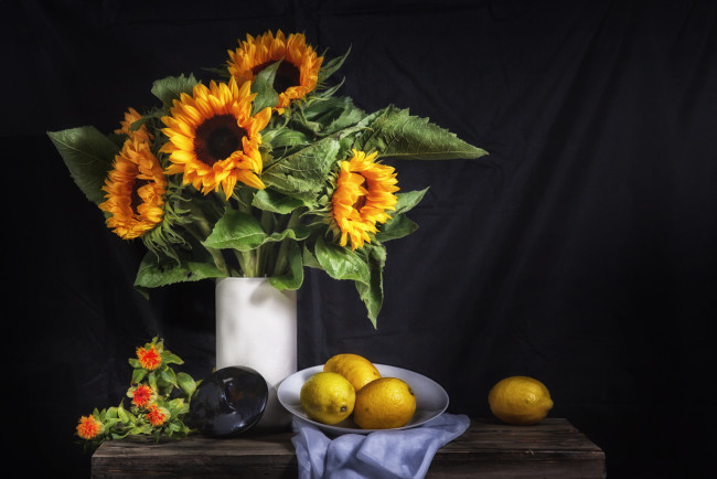 Обои картинки фото еда, натюрморт, цитрус, подсолнух, лимон, цветы