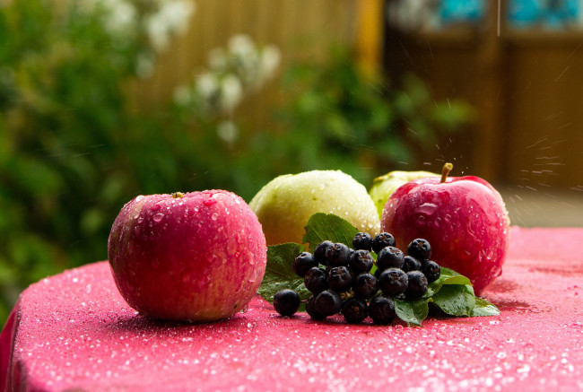 Обои картинки фото еда, Яблоки, дождь, капли, конкурс, лето, яблоки