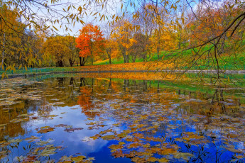 Картинка природа парк осень