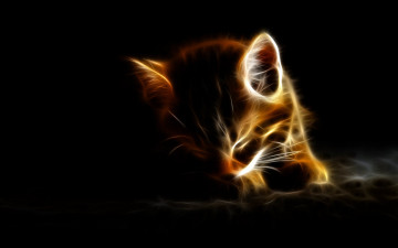Картинка 3д графика animals животные кот котенок фрактал линии