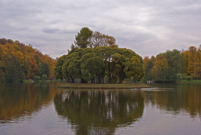 Обои картинки фото природа, парк, тучи, деревья, остров, пруд