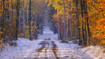 обоя природа, дороги, снег, лес, дорога
