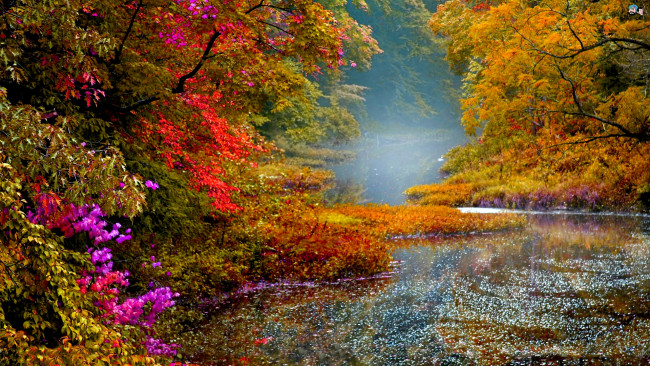 Обои картинки фото природа, реки, озера, река, блики, листува, деревья, осень