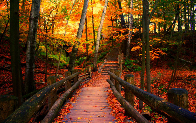 Обои картинки фото autumn, in, the, park, природа, дороги, краски, листва, деревья, парк, мостик, осень