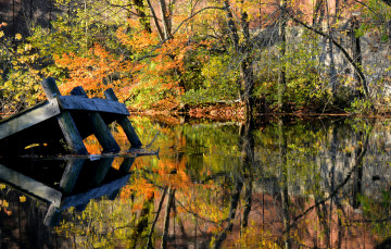 Картинка природа реки озера осень желтые кроны мостик лес река