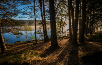 Картинка kinrara scotland england природа реки озера шотландия деревья кинрара лес англия река