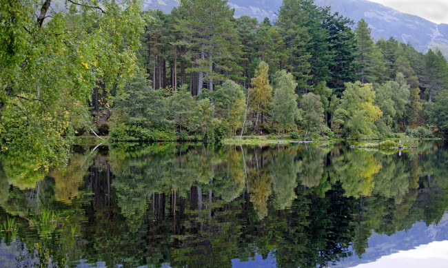 Обои картинки фото природа, реки, озера, лес, отражение, река, горы
