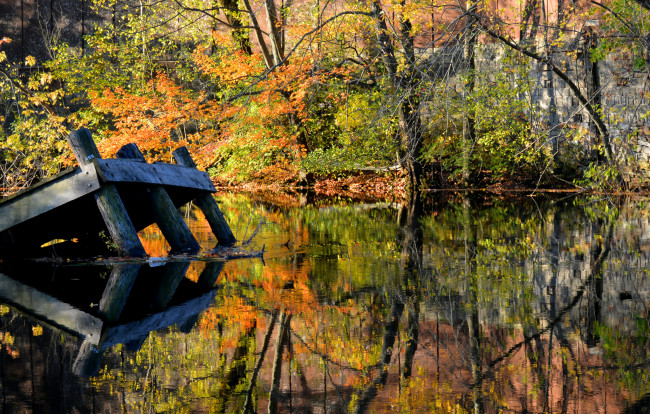 Обои картинки фото природа, реки, озера, осень, желтые, кроны, мостик, лес, река