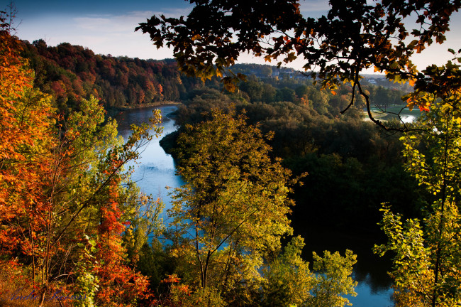 Обои картинки фото природа, реки, озера, лес, река, осень, панорама, желтые, кроны