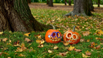 обоя праздничные, хэллоуин, осень, праздник, головы, овощи, плоды, пара, тыквы, листья, трава, ствол, halloween, природа, дерево