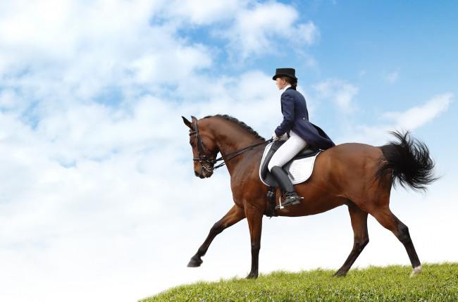Обои картинки фото спорт, конный спорт, дама, наездница, конь, лошадь, небо, поле, девушка