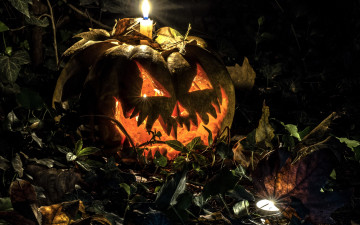 Картинка праздничные хэллоуин страшная тыква