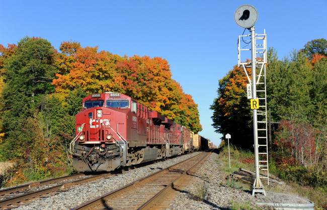 Обои картинки фото техника, поезда, рельсы, локомотив, состав