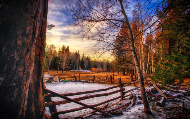 Обои картинки фото природа, лес, деревья, осень, снег, ограда