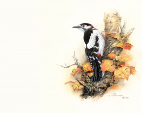 Картинка рисованные животные птицы дятел