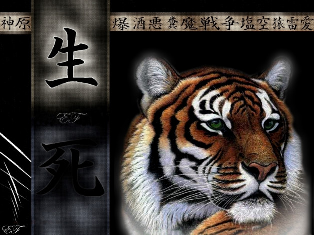 Обои картинки фото kat777999@mail, ru, рисованные, животные, тигры