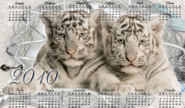 Обои картинки фото календари, животные