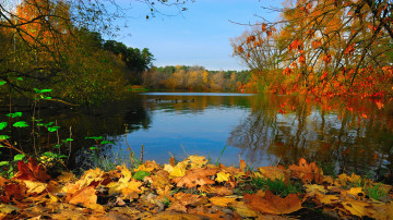 Картинка природа реки озера осень листья отражение