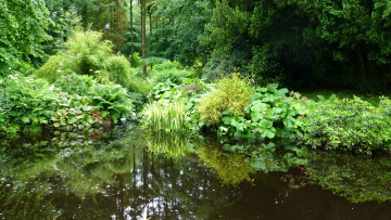 Картинка ireland benvarden garden природа парк водоем сад